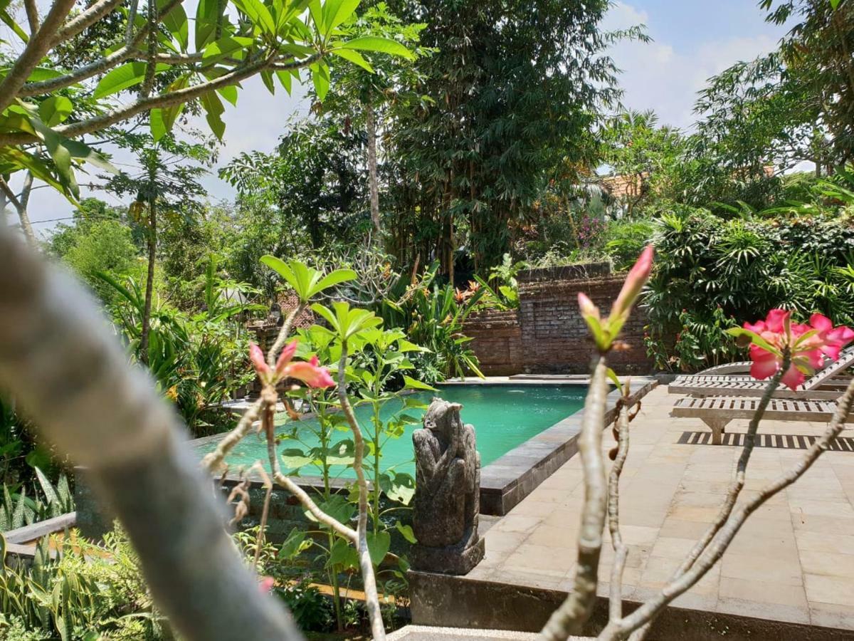 Nyoman Homestay Ubud Ngoại thất bức ảnh